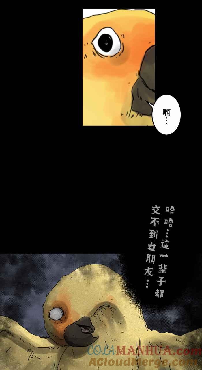 百鬼夜行志・一夜怪谈之卷 - [第668话] 鹦鹉 - 第5张图