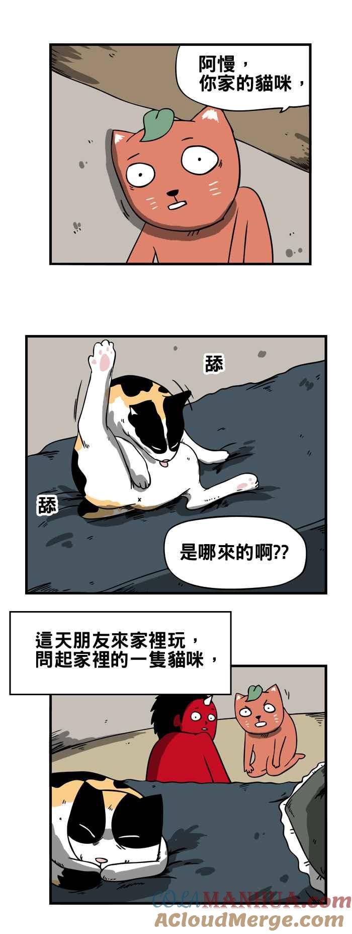 百鬼夜行志・一夜怪谈之卷 - [第75话] 来历不明的猫 - 第2张图