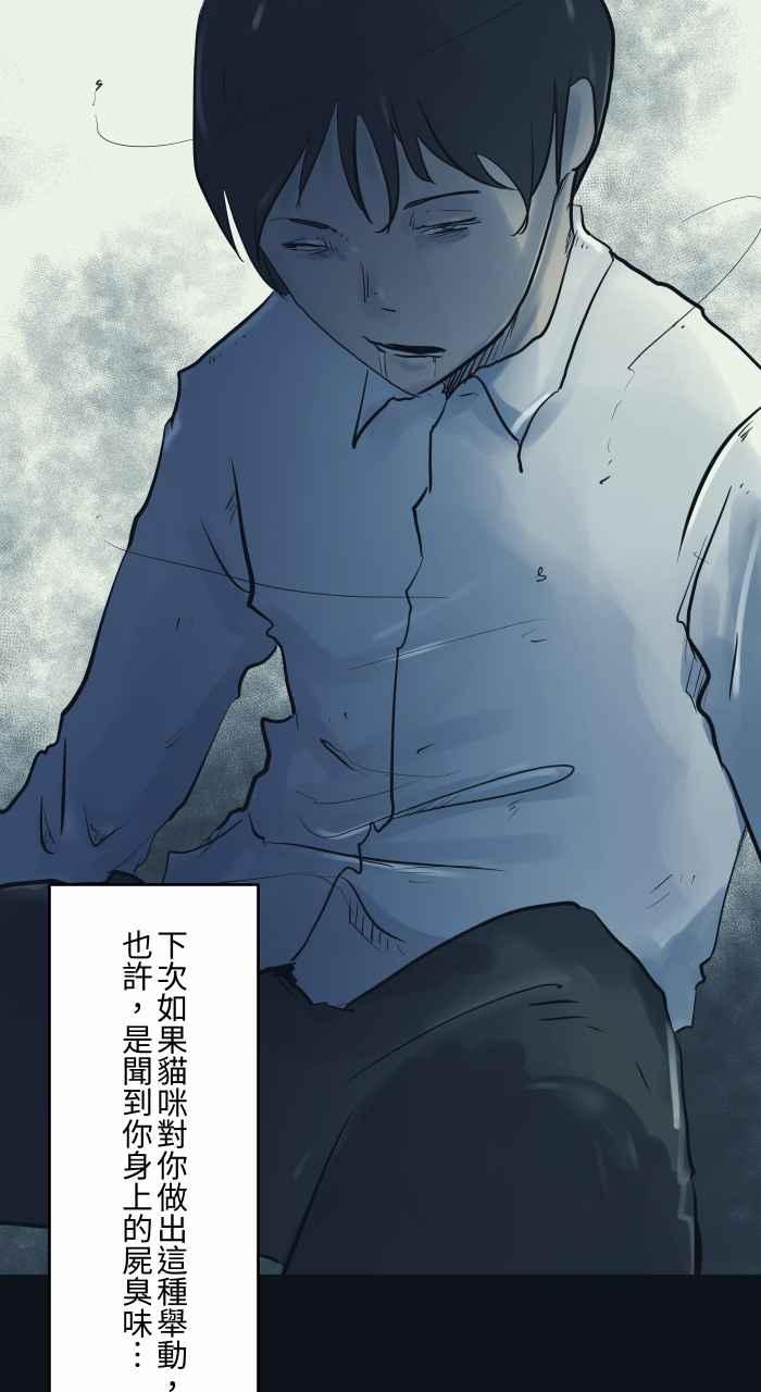 百鬼夜行志・一夜怪谈之卷 - [第789话] 猫咪的举动 - 第15张图