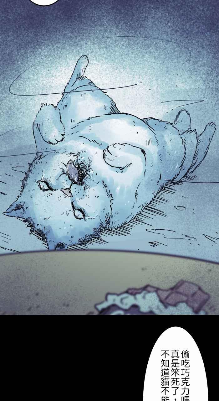 百鬼夜行志・一夜怪谈之卷 - [第834话] 变成猫咪 - 第14张图