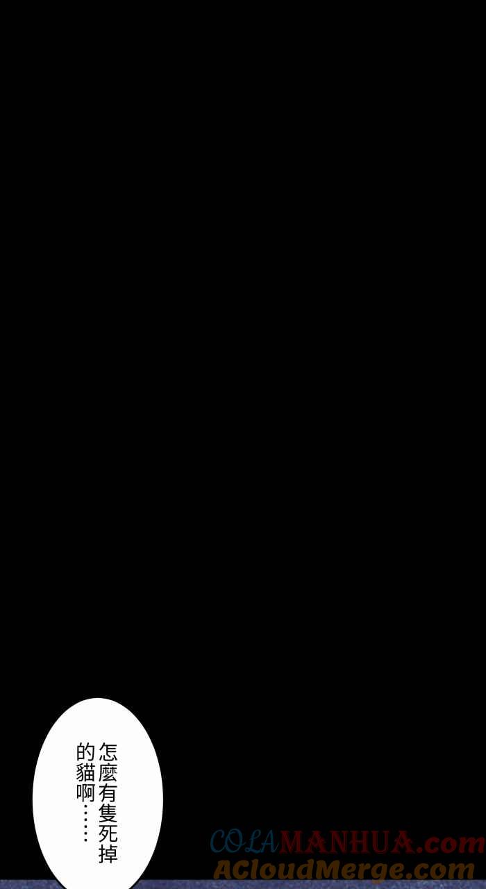 百鬼夜行志・一夜怪谈之卷 - [第834话] 变成猫咪 - 第13张图