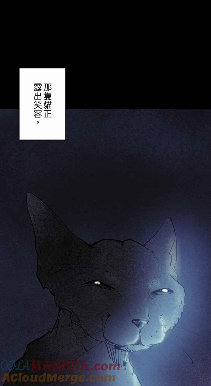 百鬼夜行志・一夜怪谈之卷 - [第863话] 很瘦的猫 - 第11张图