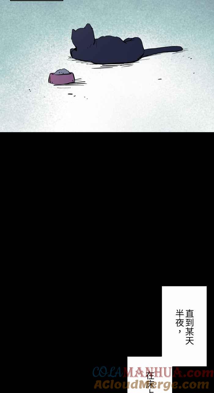 百鬼夜行志・一夜怪谈之卷 - [第863话] 很瘦的猫 - 第7张图