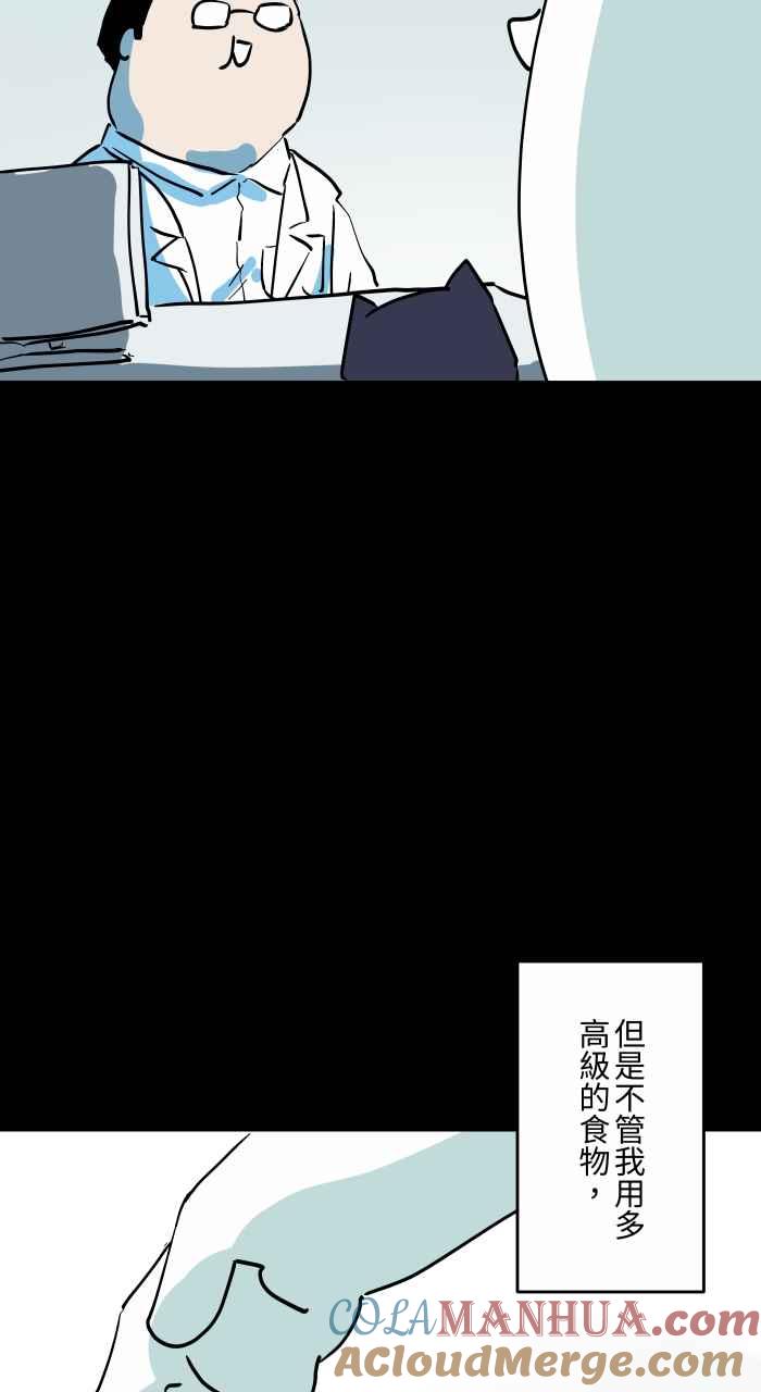 百鬼夜行志・一夜怪谈之卷 - [第863话] 很瘦的猫 - 第5张图