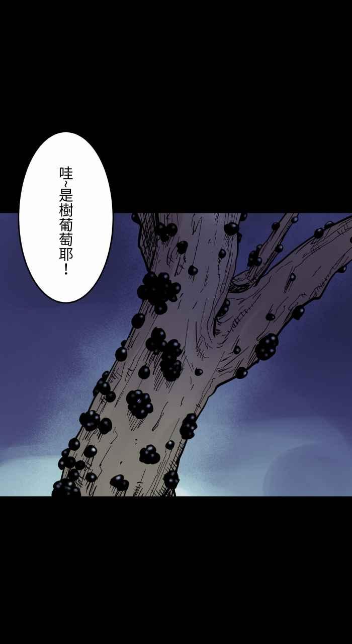 百鬼夜行志・一夜怪谈之卷 - [第867话] 树葡萄 - 第4张图