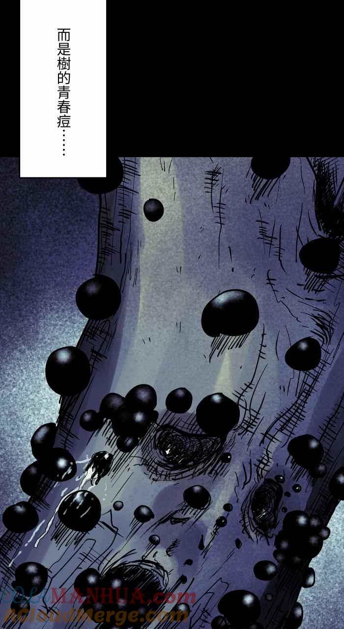 百鬼夜行志・一夜怪谈之卷 - [第867话] 树葡萄 - 第13张图