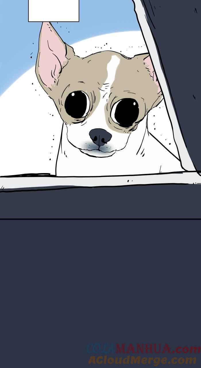 百鬼夜行志・一夜怪谈之卷 - [第942话] 吉娃娃 - 第14张图