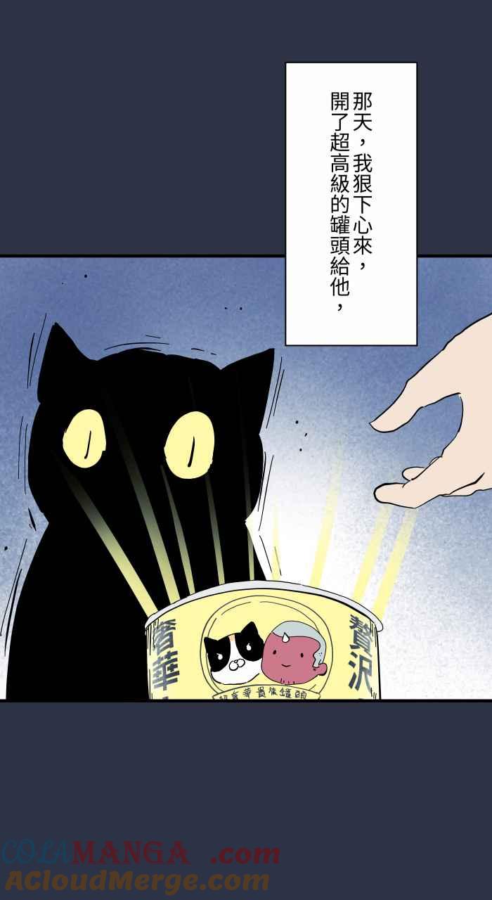 百鬼夜行志・一夜怪谈之卷 - [第960话] 猫的报恩 - 第16张图