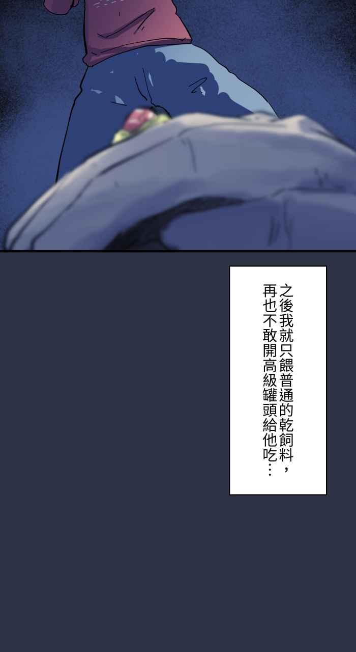 百鬼夜行志・一夜怪谈之卷 - [第960话] 猫的报恩 - 第21张图