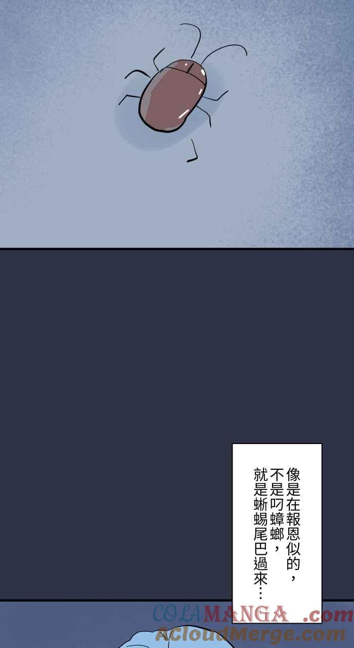 百鬼夜行志・一夜怪谈之卷 - [第960话] 猫的报恩 - 第8张图