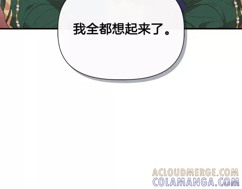 我不再是灰姑娘 第75话 第161页