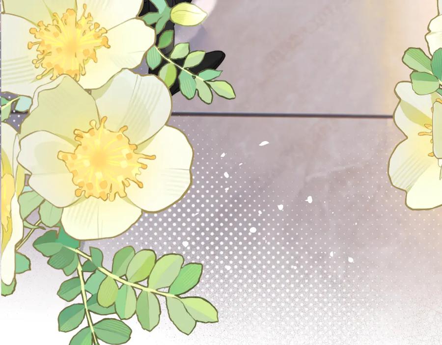 《穿成马甲大佬的妹妹》第53话 收网 第100页
