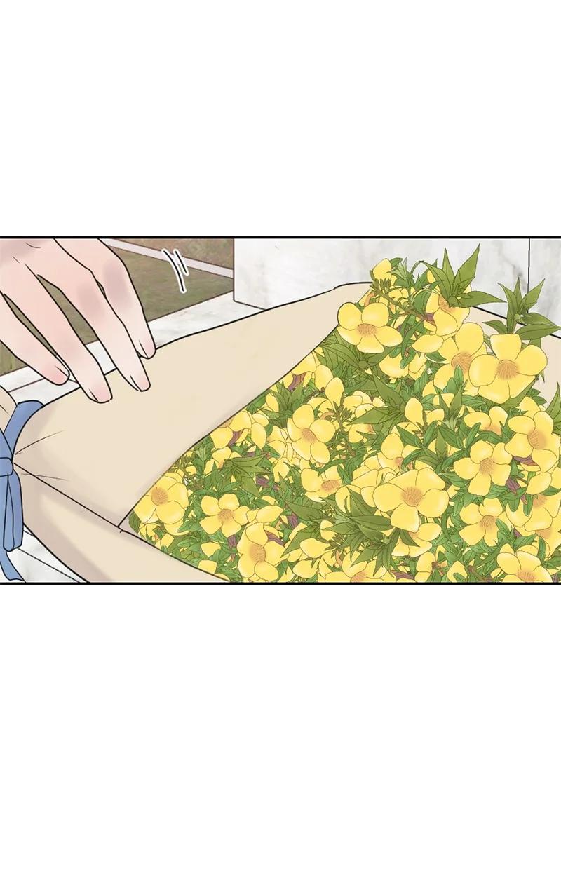 《守护你的梦境》61 崭新的文斯 第66页