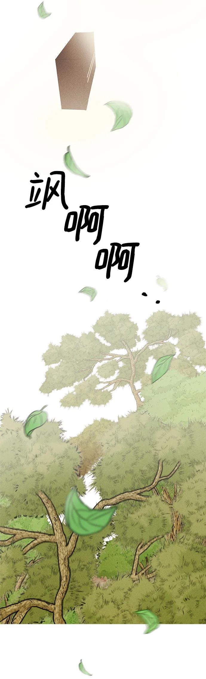 51.jpg