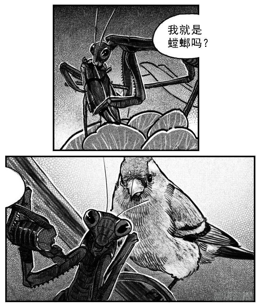 《白门五甲》52螳螂尖刺 第2页