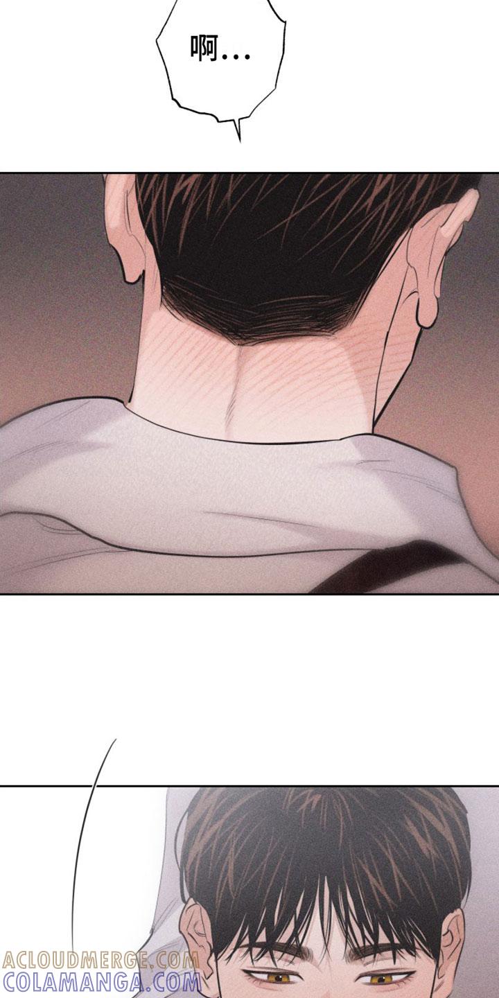 《瓷器》第10章：主题为爱 第13页