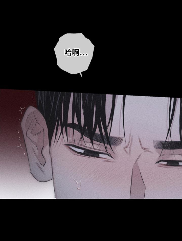 《瓷器》第16章：特殊形态 第10页