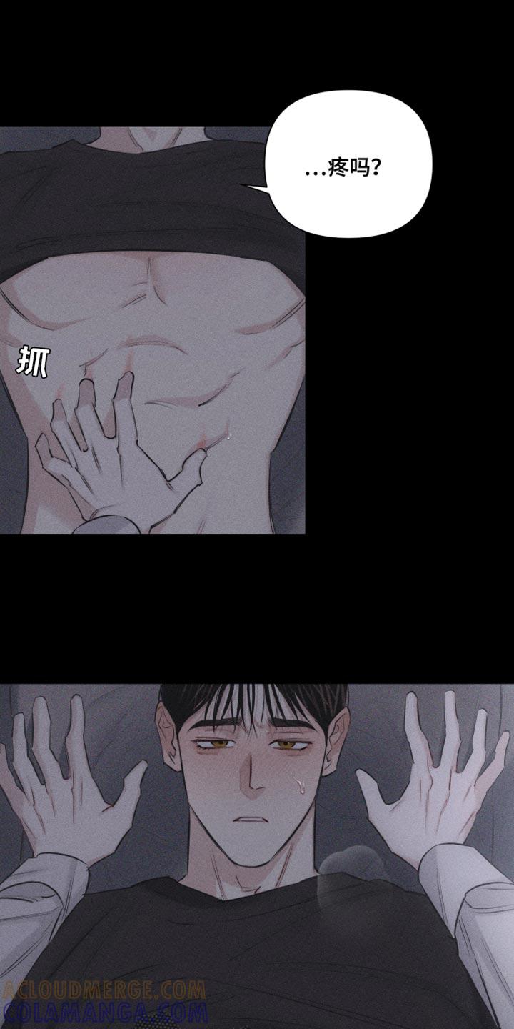 《瓷器》第16章：特殊形态 第11页