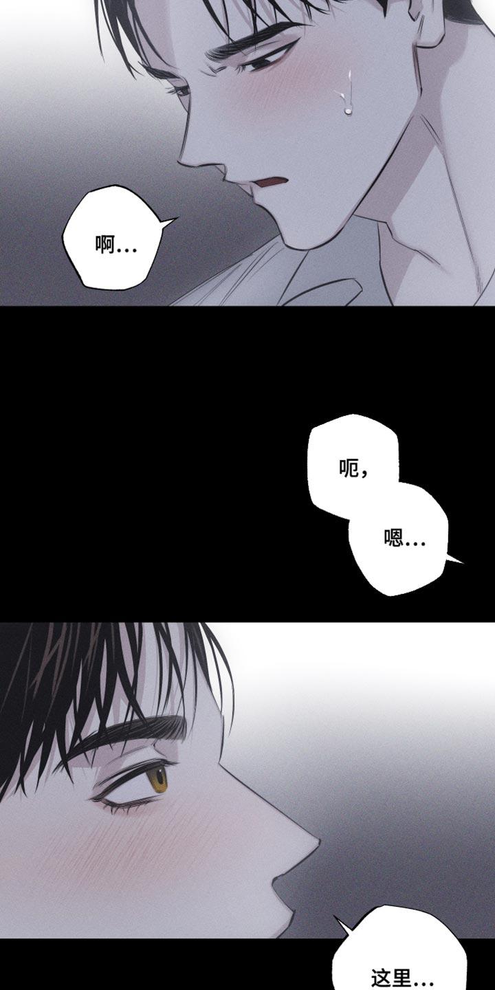 《瓷器》第16章：特殊形态 第6页