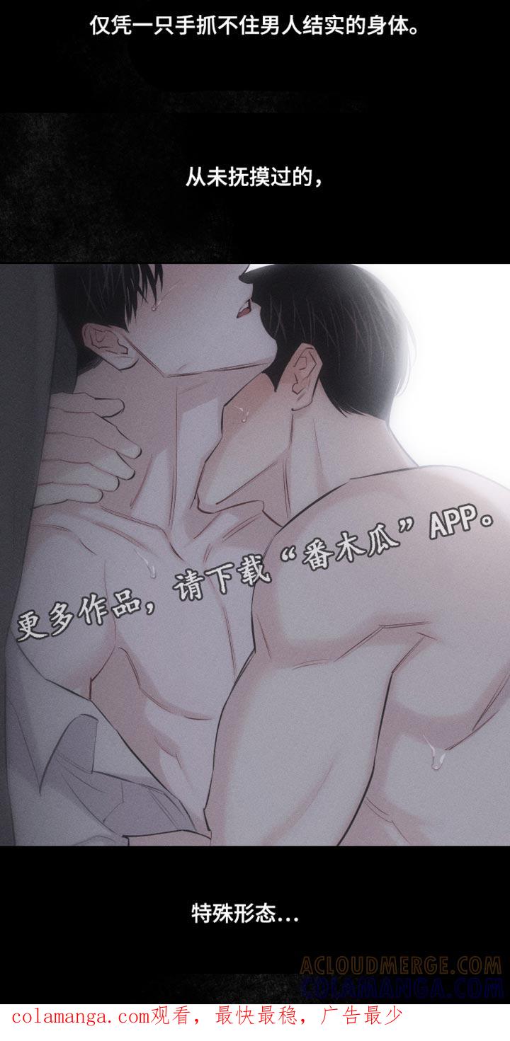 《瓷器》第16章：特殊形态 第15页