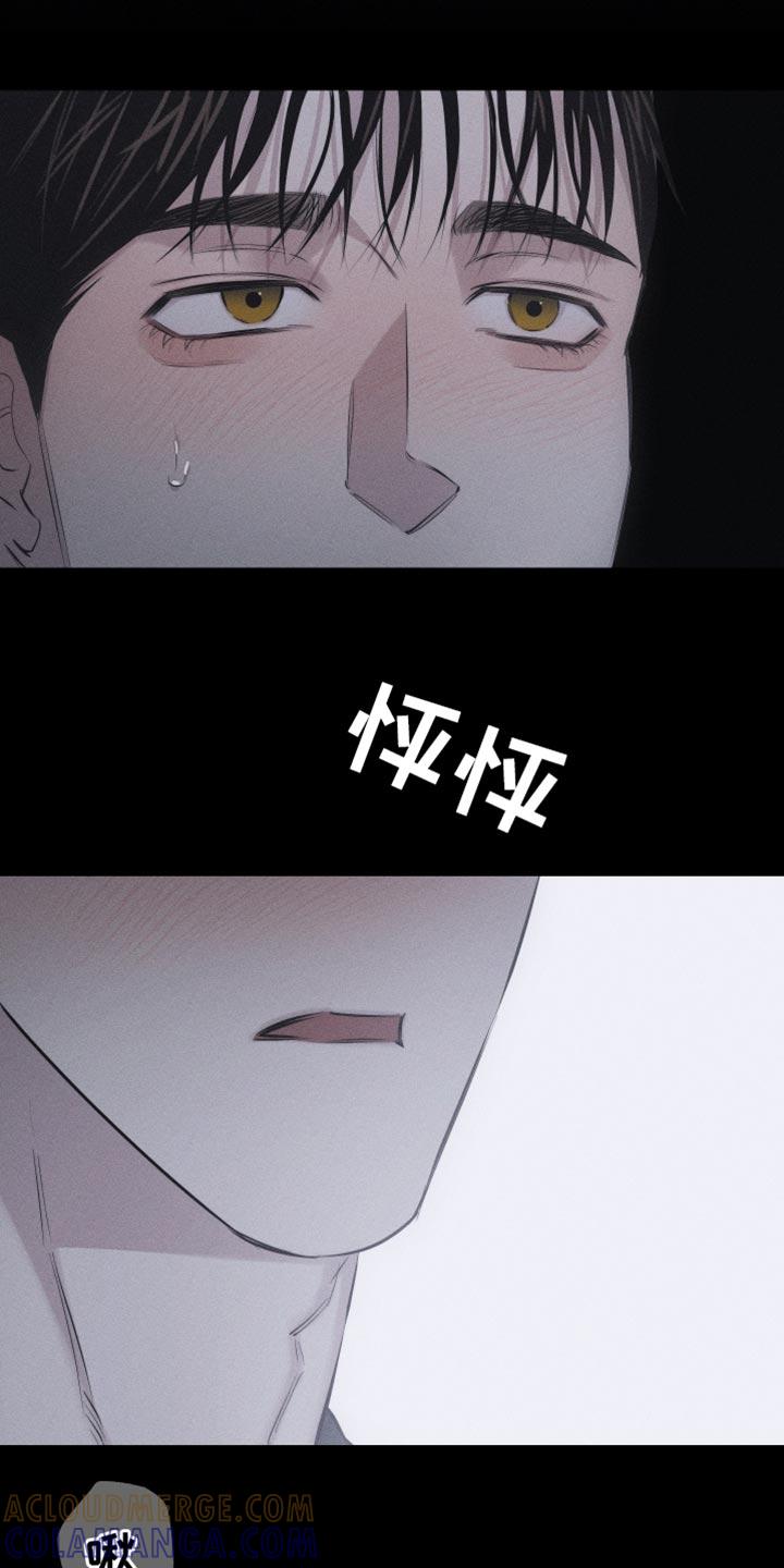 《瓷器》第16章：特殊形态 第3页