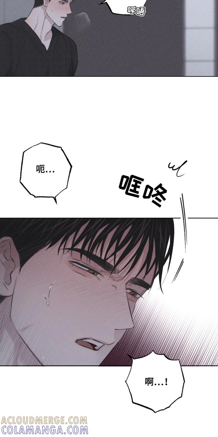 《瓷器》第22章：您为什么喜欢我？ 第5页