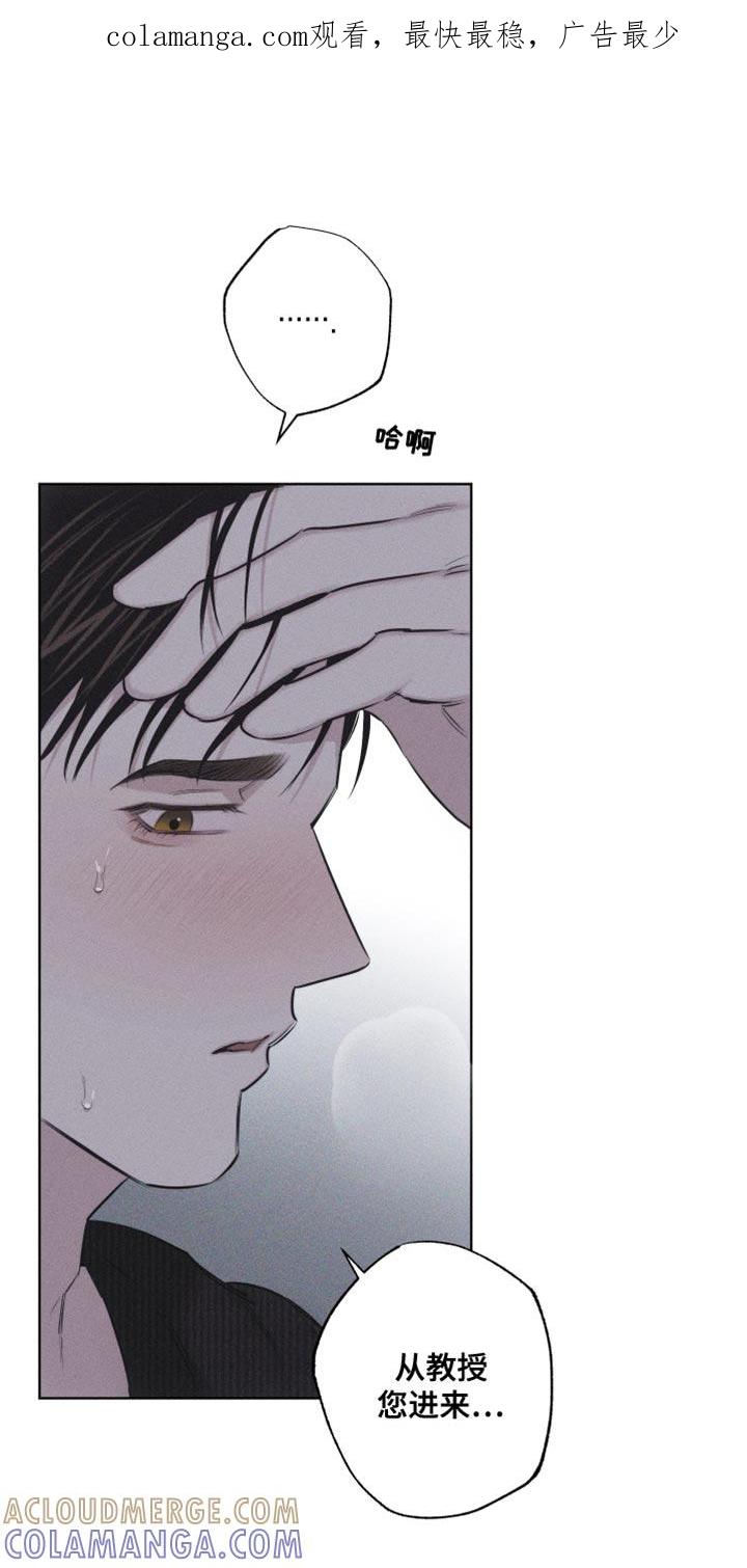 《瓷器》第22章：您为什么喜欢我？ 第1页