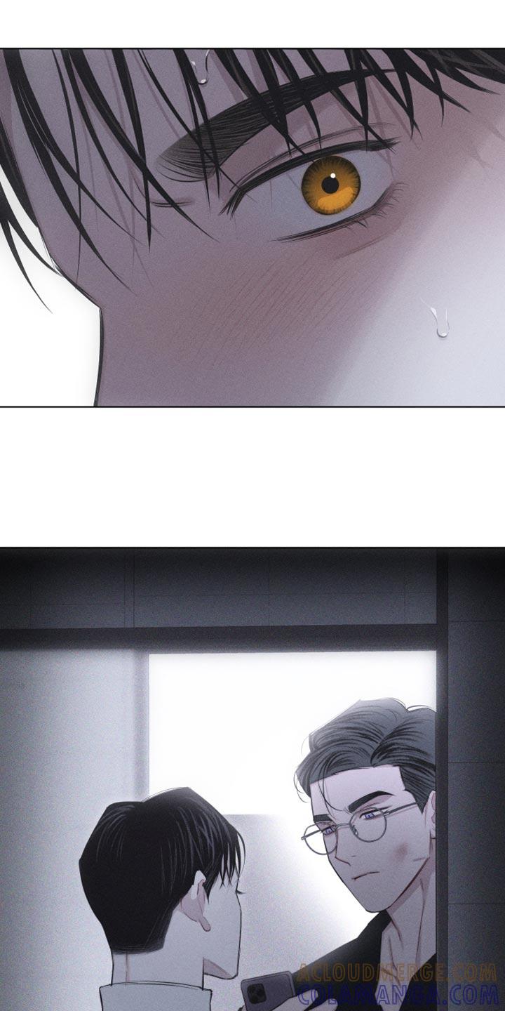 《瓷器》第22章：您为什么喜欢我？ 第15页