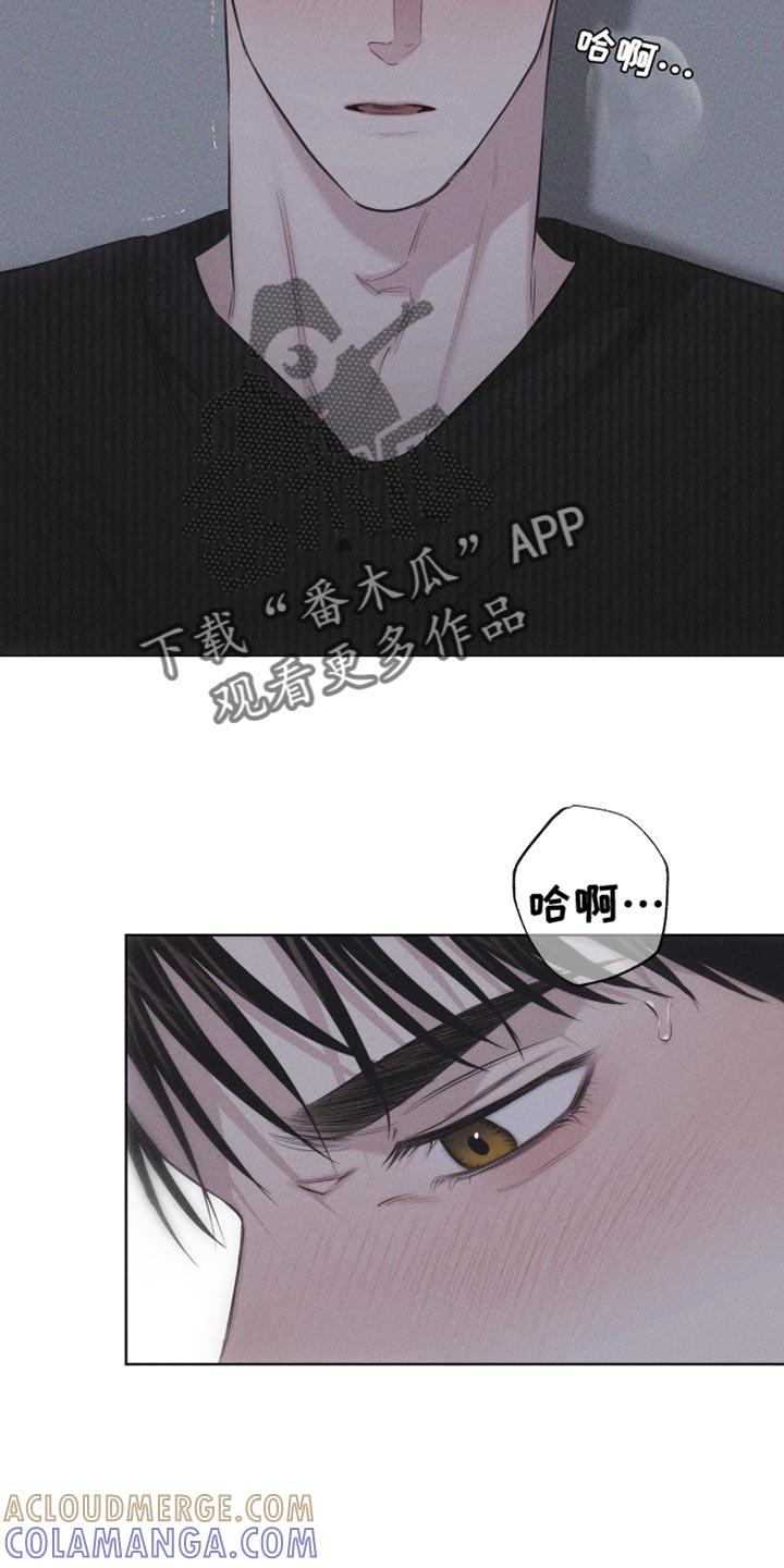 《瓷器》第22章：您为什么喜欢我？ 第3页