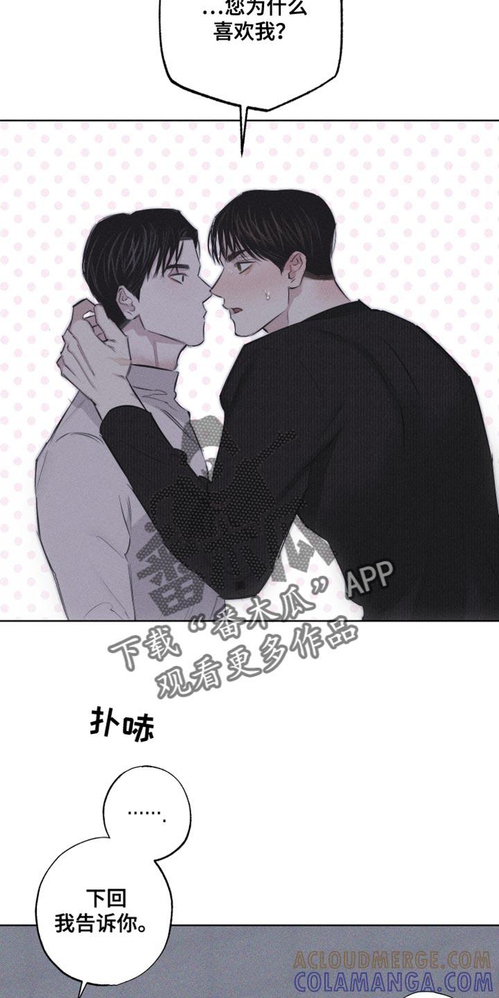 《瓷器》第22章：您为什么喜欢我？ 第11页