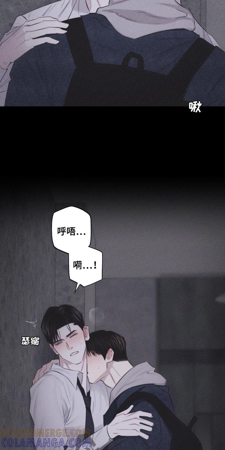 《瓷器》第26章：自作主张 第17页