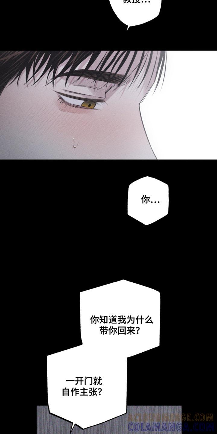 《瓷器》第26章：自作主张 第19页