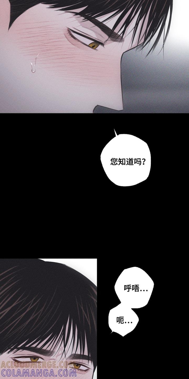 《瓷器》第27章：让你心思放在我身上 第19页
