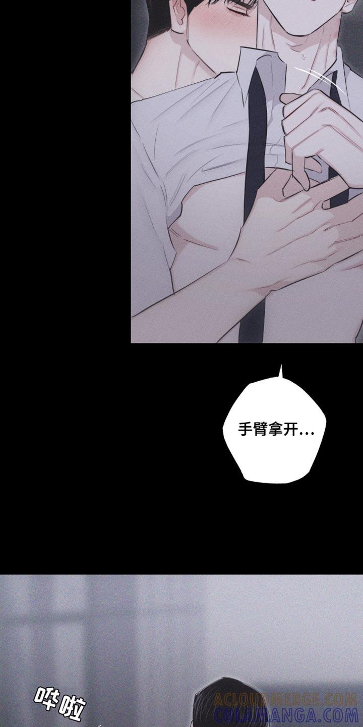 《瓷器》第28章：执着 第7页