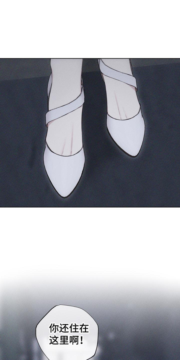 《瓷器》第30章：礼物 第26页