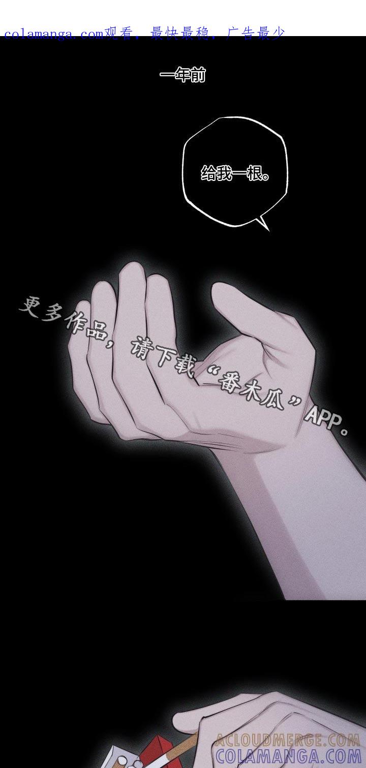 《瓷器》第35章：那就交往 第1页