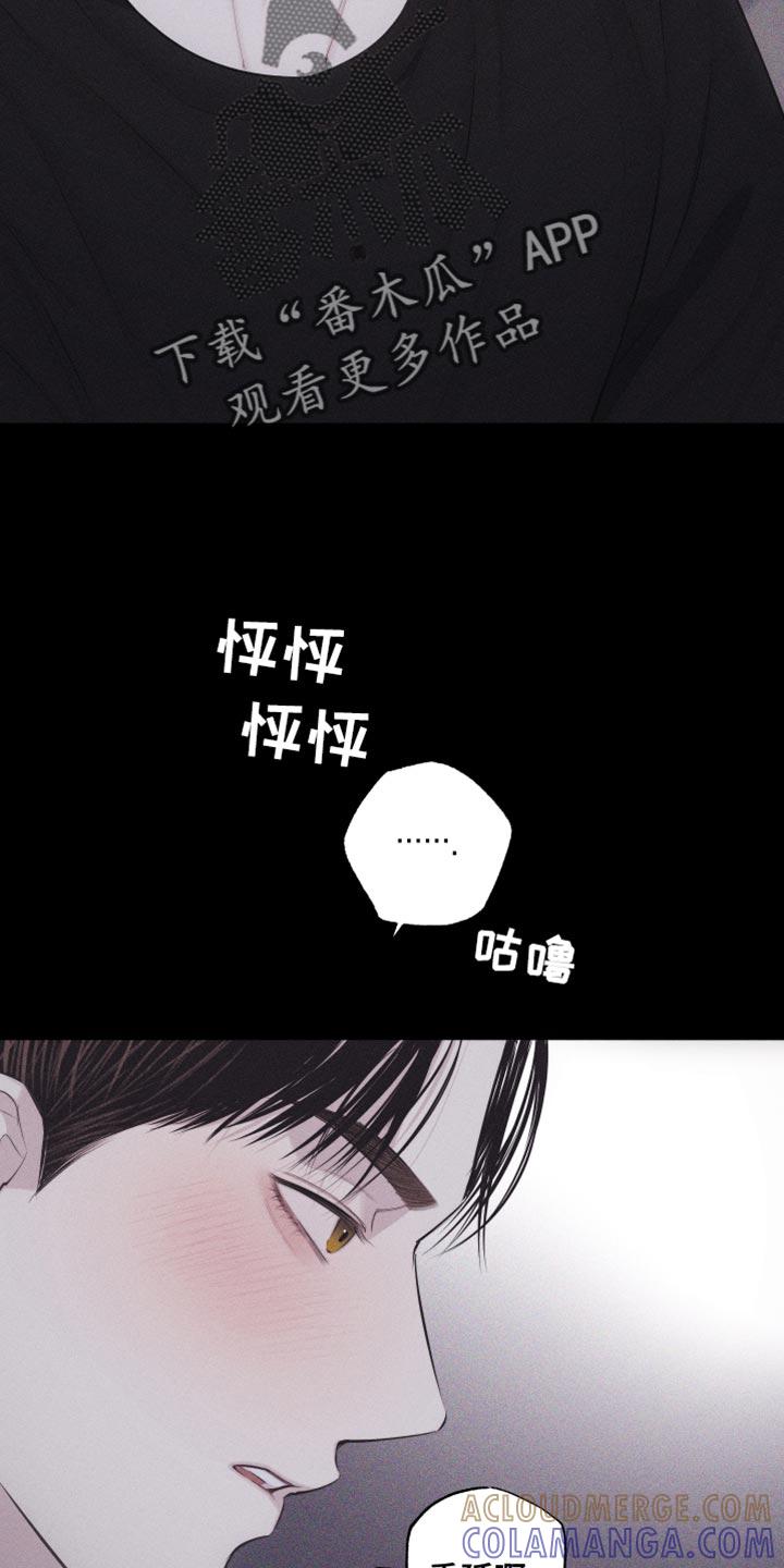 《瓷器》第37章：像大学生 第11页