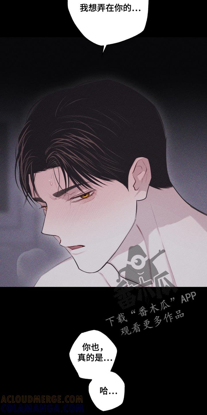 《瓷器》第38章：想象 第7页