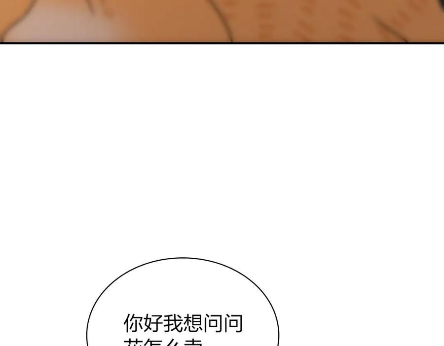 91.jpg