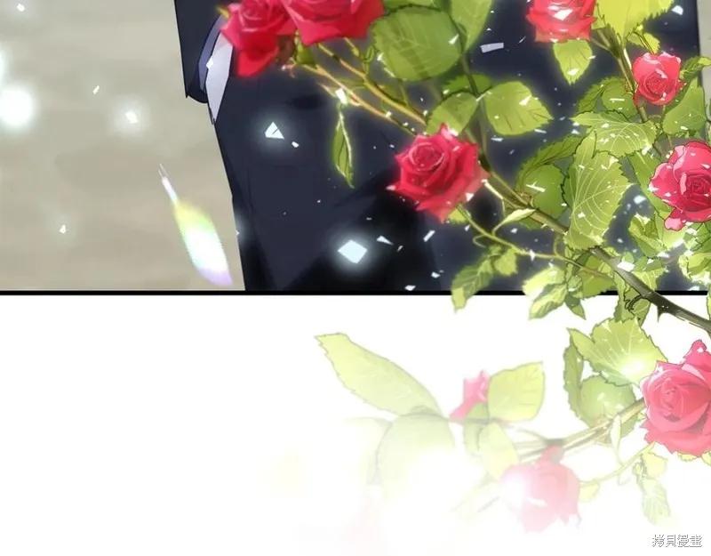 《明明是冷美人小姐却变成了忠犬大少爷》第77话 第8页