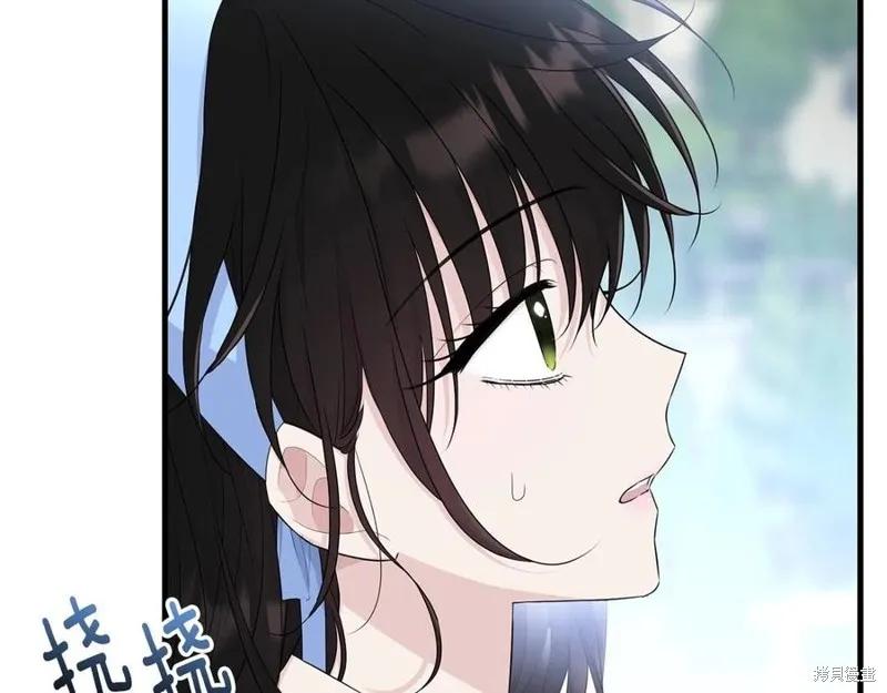 《明明是冷美人小姐却变成了忠犬大少爷》第77话 第2页