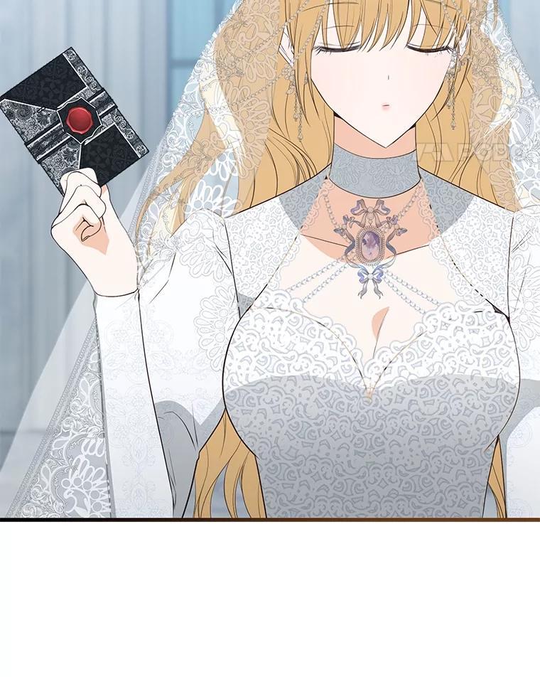 《圣女大人已黑化》52.婚礼（完） 第167页