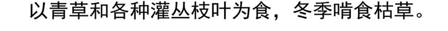《胖达x胖达》第92话 第28页