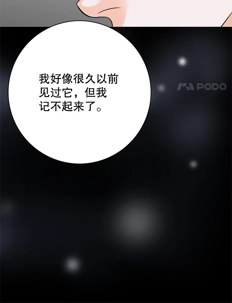 《第8位契约新娘》14.丢失手镯 第77页