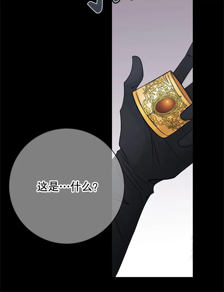 《第8位契约新娘》14.丢失手镯 第69页