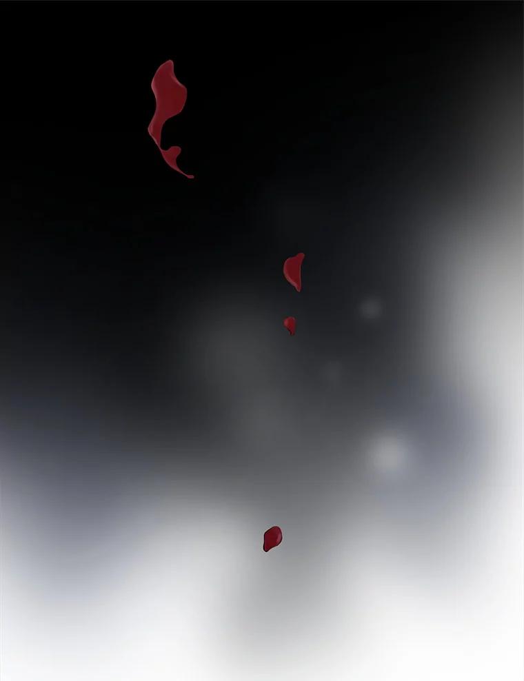 《第8位契约新娘》17.被魔兽攻击 第62页