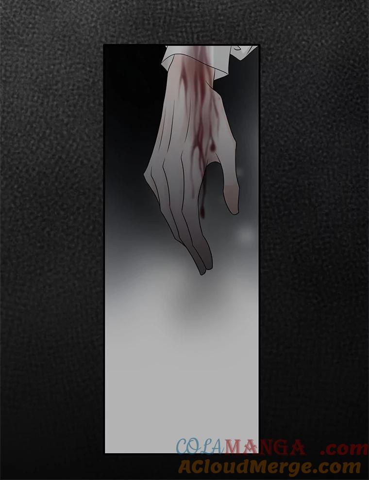 《第8位契约新娘》17.被魔兽攻击 第25页