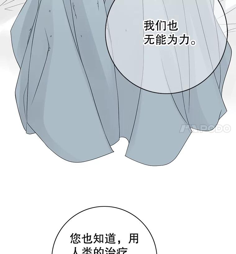 《第8位契约新娘》18.治愈师 第5页