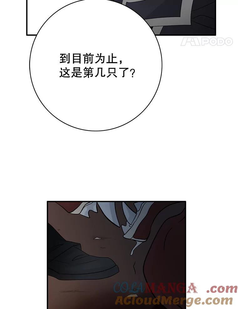 《第8位契约新娘》24.手镯的秘密 第81页