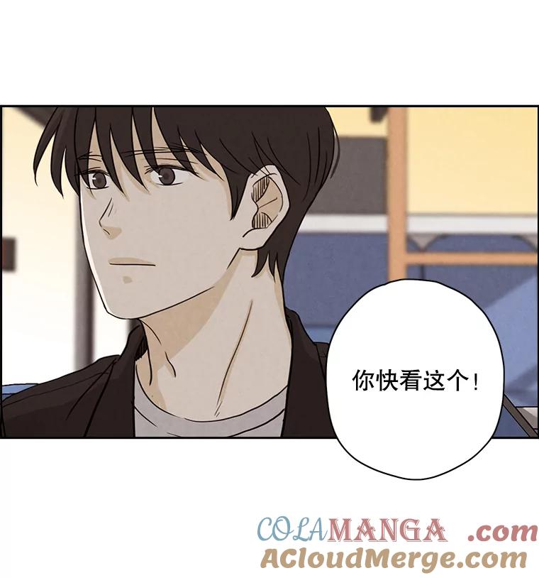 《消失的新郎》30.坏消息（本季完） 第5页